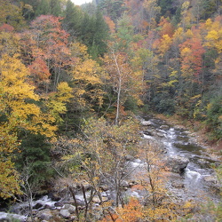 doe river train ride